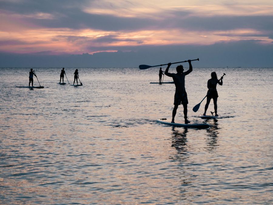 Persone su tavole da paddle surf in acqua bassa
